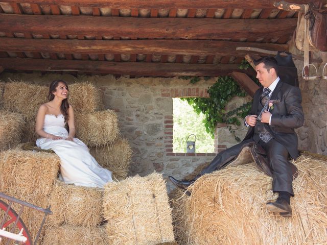 La boda de Sergi y Cris en Sant Fost De Campsentelles, Barcelona 5