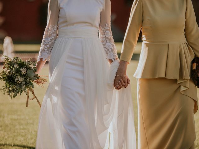 La boda de Sergio y Rocío en Churriana, Málaga 31