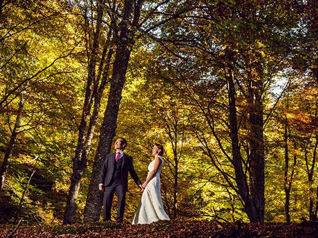 La boda de Fernando y Olga en Lardero, La Rioja 17