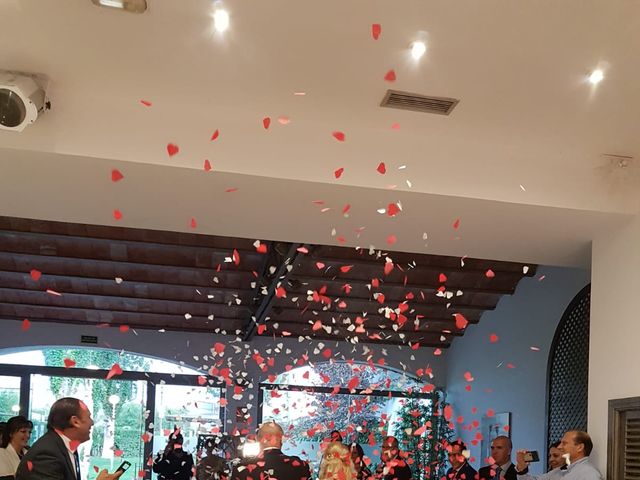 La boda de Marcelo y Daniela  en Aranjuez, Madrid 5