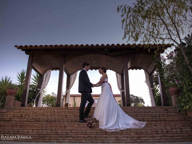 La boda de Javi y Vicky en Valverde Del Camino, Huelva 10