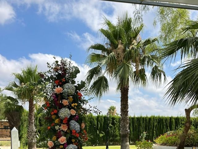 La boda de Iván y Paula en Jerez De La Frontera, Cádiz 2