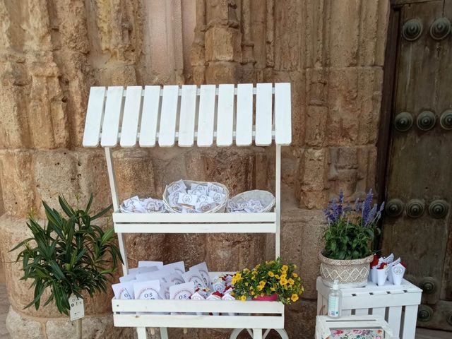 La boda de Sergio y Olga en Valdepeñas, Ciudad Real 4