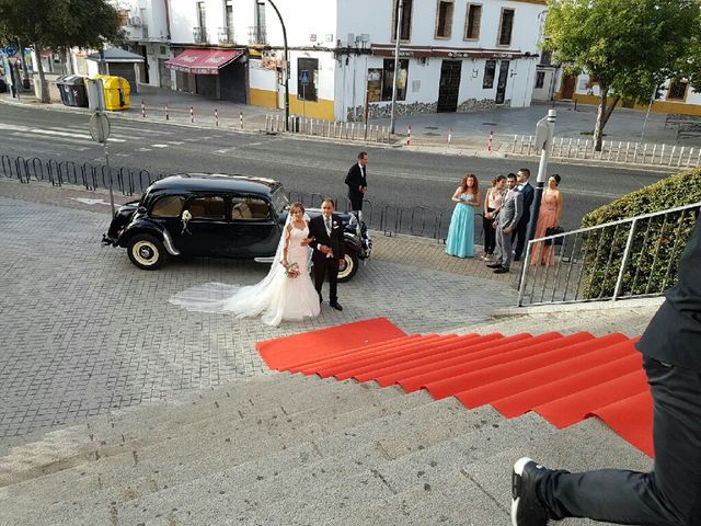 La boda de Antonio José  y Rosa  en Córdoba, Córdoba 8