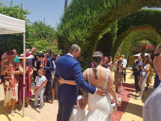 La boda de Manuel y Irene en Alcala De Guadaira, Sevilla 5