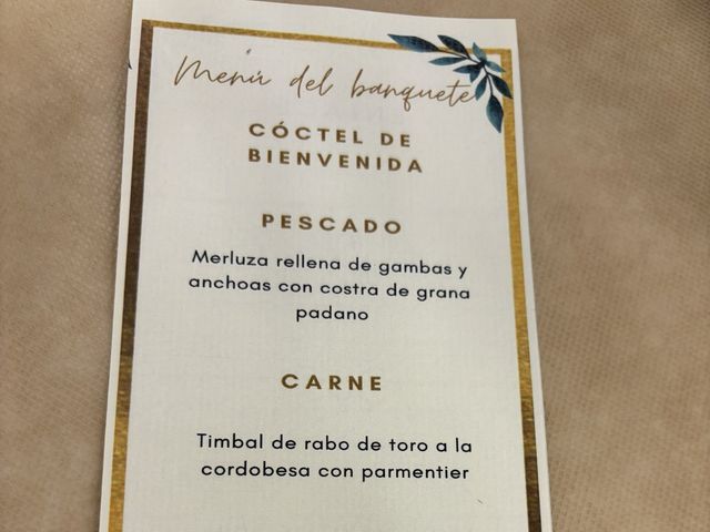 La boda de MARIA y Juanjo en Miajadas, Cáceres 12
