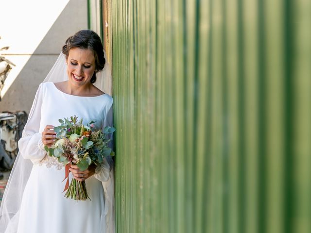 La boda de Francisco Antonio y Chari en Pilas, Sevilla 13