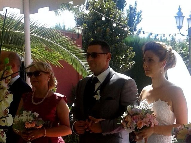La boda de Alexandru y Florentina  en Purchil, Granada 4