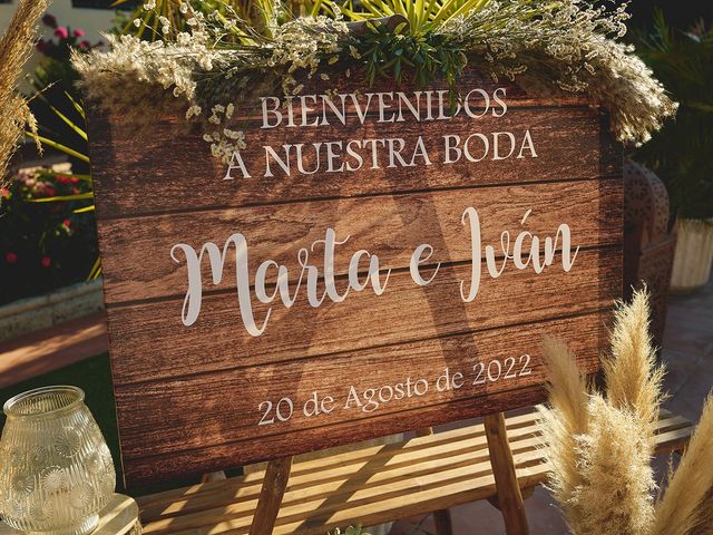 La boda de Marta y Iván en San Pablo De Buceite, Cádiz 26