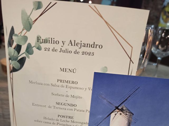 La boda de Emilio y Alejandro  en Ballesteros De Calatrava, Ciudad Real 6