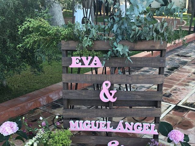 La boda de Miguel Angel y Eva en Torrellano, Alicante 14