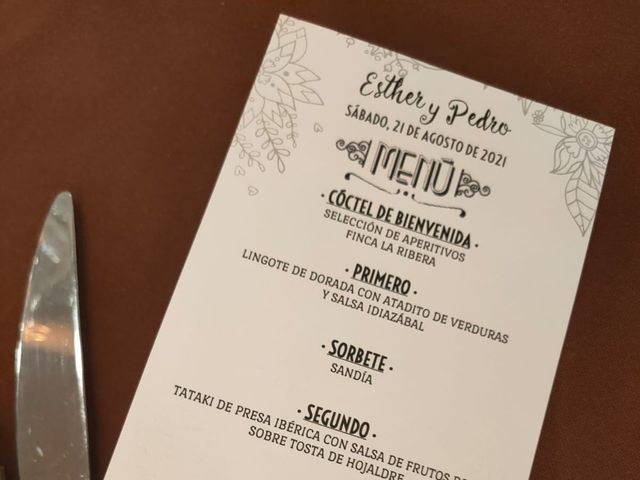 La boda de Pedro y Esther en Aranjuez, Madrid 4