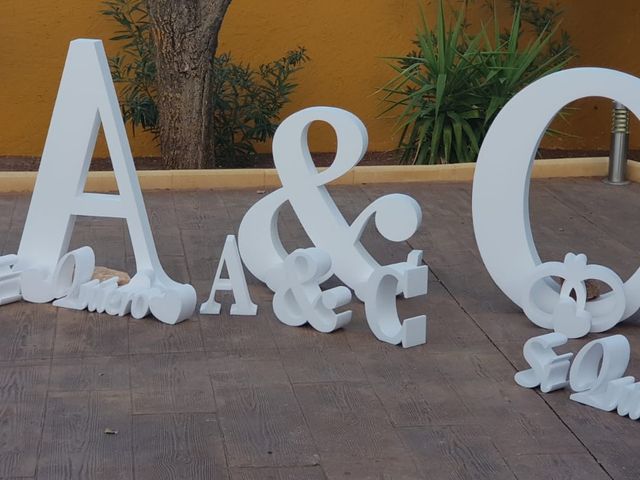 La boda de Alejandro y Carmen en Alhambra, Ciudad Real 1