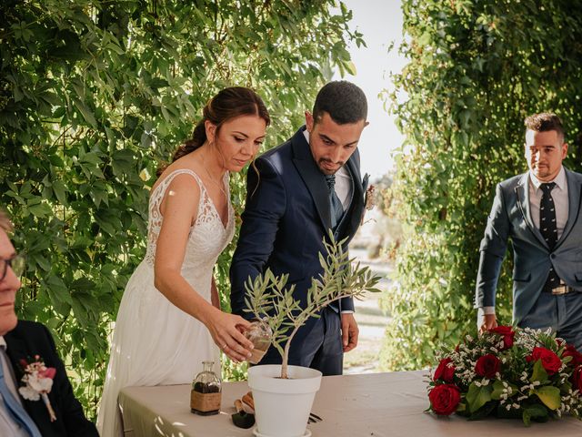 La boda de Alejandro y Alicia en Cáceres, Cáceres 83