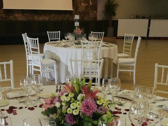 La boda de Jose y Raquel  en San Pedro de Alcántara, Málaga 3