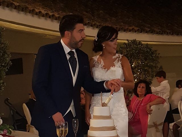 La boda de Daniel y Noelia en San Roque, Cádiz 2