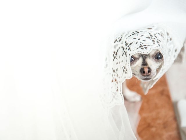 La boda de Felix y Melodia en Burguillos, Sevilla 9