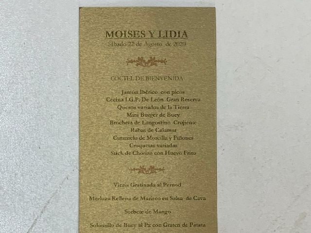 La boda de Lidia y Moisés en León, León 4