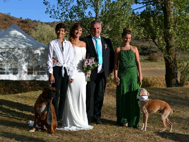 La boda de Roberto y Irene en Miedes De Atienza, Guadalajara 2
