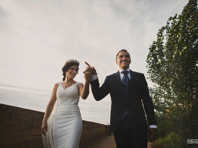 La boda de Ismael  y Estela  en Olivenza, Badajoz 19