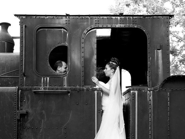 La boda de Ariadna y Carlos en Puertollano, Ciudad Real 20