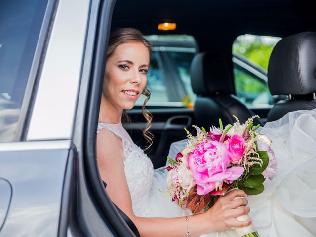 La boda de Dani y Angela en Guadarrama, Madrid 11