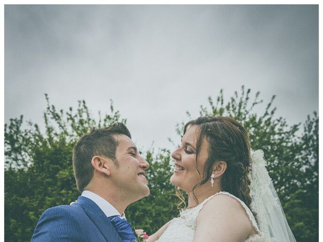 La boda de Pedro y Patricia en Posada De Llanera, Asturias 1