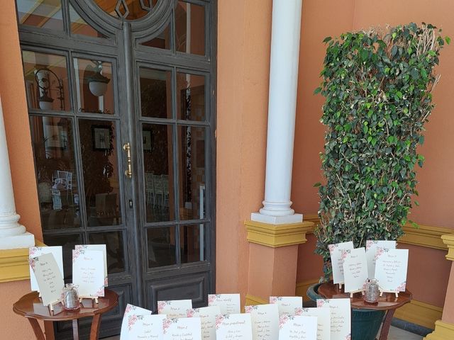 La boda de Fran y Elena  en Moron De La Frontera, Sevilla 4
