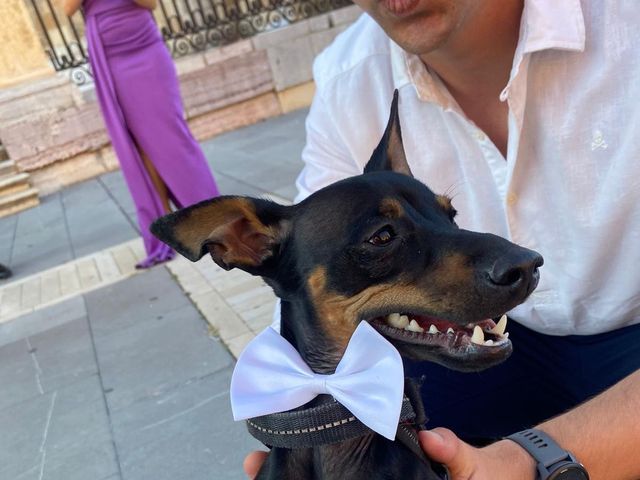 La boda de Samuel y Estela en León, León 3