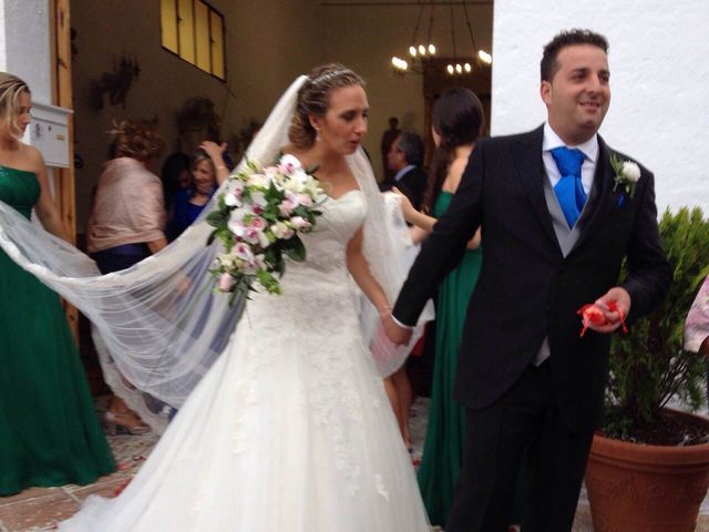 La boda de Pedro y Miriam en Málaga, Málaga 2