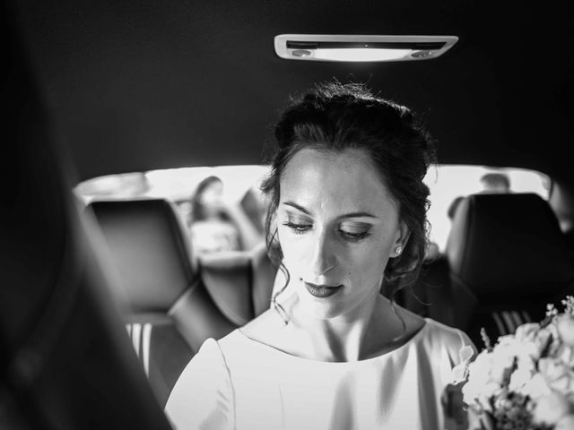 La boda de Adolfo y Teresa en Alhama De Granada, Granada 43