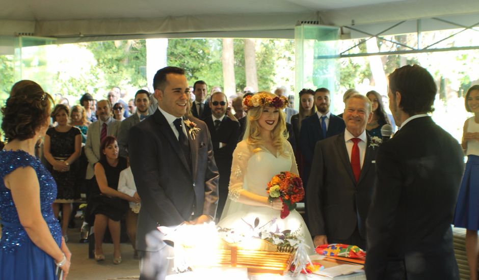 La boda de Pedro Luis y Alicia en Móstoles, Madrid