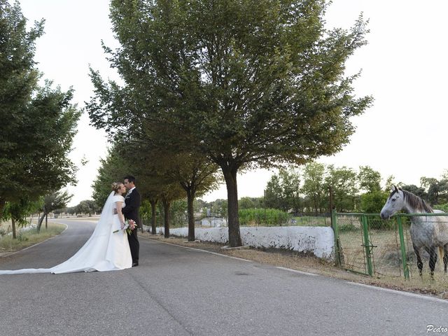 La boda de Javi y Ana en Cáceres, Cáceres 34