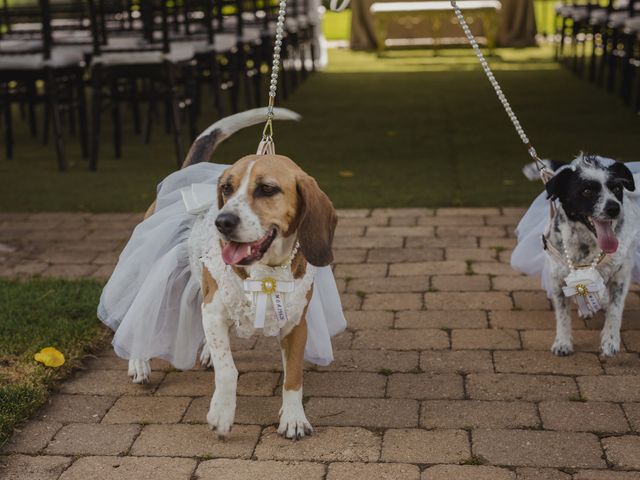 La boda de Alberto y Mirley en Aranjuez, Madrid 30