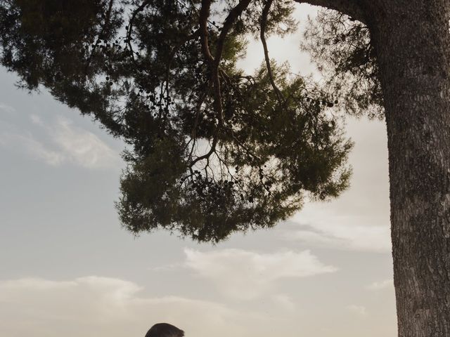 La boda de Alberto y Mirley en Aranjuez, Madrid 57