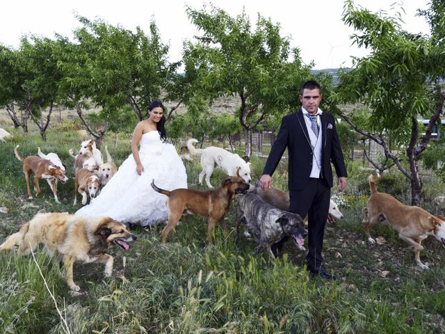 La boda de Rubén y Mary en Monreal Del Campo, Teruel 19