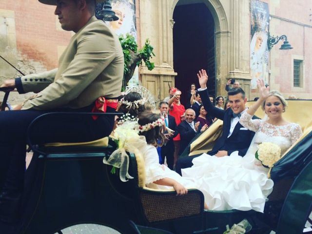 La boda de Diego y Maria en Los Silos (Cuevas Del Almanzora), Almería 10