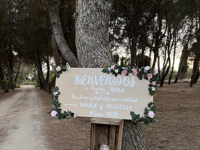 La boda de Daniel y Andressa en Villatobas, Toledo 5