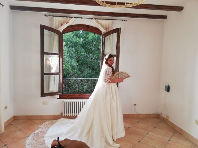 La boda de Michel y Elisabet  en Daya Vieja, Alicante 3