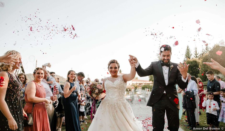 La boda de Roberto y Natalia en Santa Gadea Del Cid, Burgos