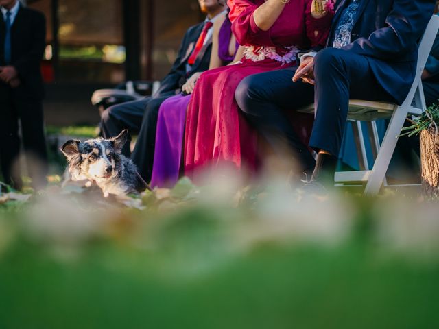 La boda de Cristina y Carlos en Saelices, Cuenca 20