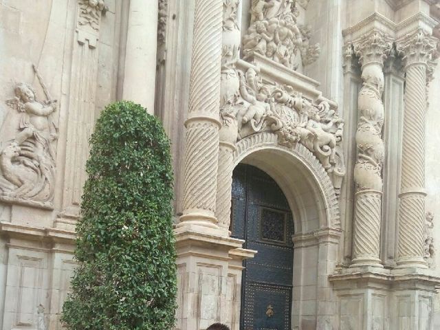 La boda de Javier y Conchi en Elx/elche, Alicante 5