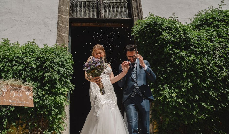 La boda de David y Marta en Jerez De La Frontera, Cádiz
