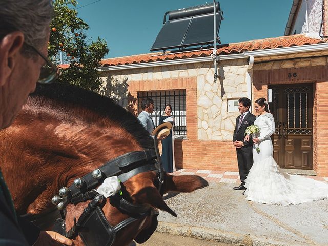 La boda de Jose y Soraya en Miajadas, Cáceres 47