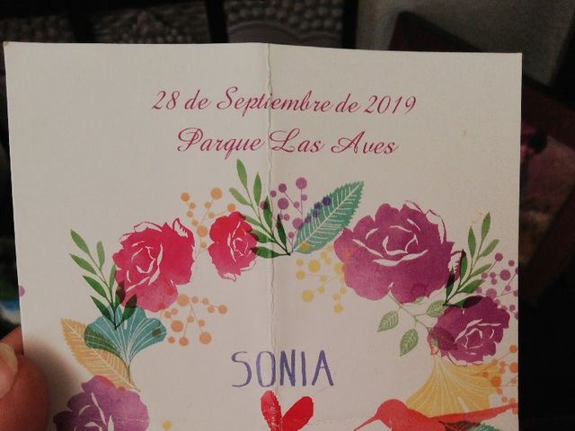 La boda de Pepe y Sonia  en Jimena De La Frontera, Cádiz 7
