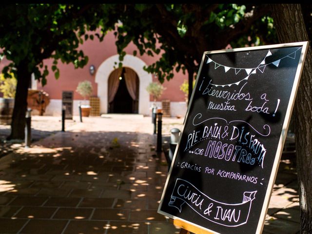 La boda de Iván y Cintia en Sant Cugat Sesgarrigues, Barcelona 10