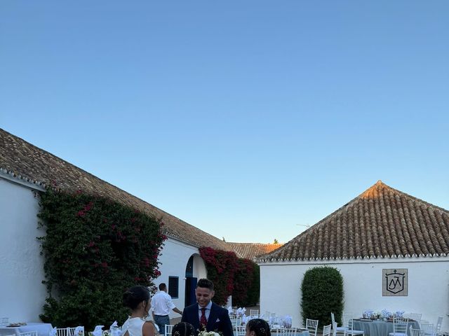 La boda de Daniel  y Macarena  en Los Palacios Y Villafranca, Sevilla 4