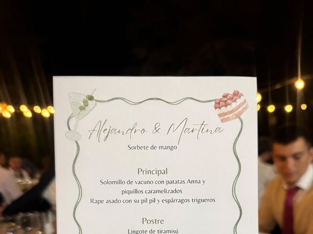La boda de Alejandro y Martina en San Agustin De Guadalix, Madrid 6