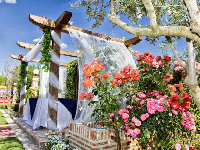 La boda de David y Justyna en Cubas De La Sagra, Madrid 1