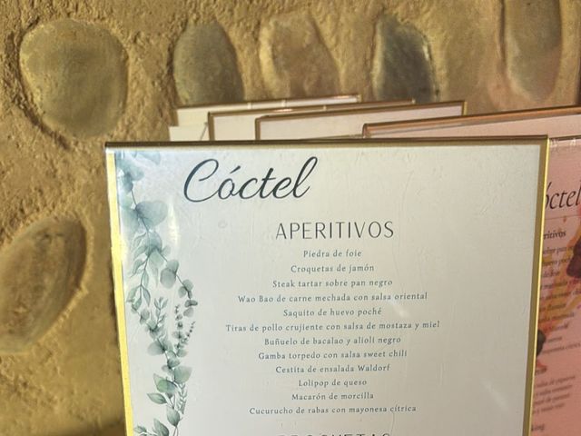 La boda de Álvaro  y Vanessa en Valdefresno, León 26